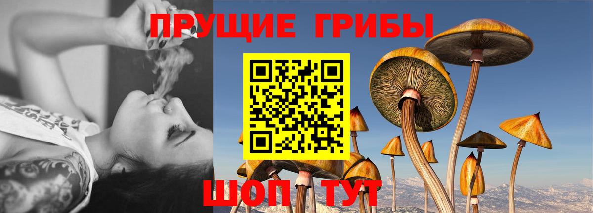 Псилоцибиновые грибы мицелий  Вход с VPN  наркотики  Изобильный 